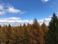 -塞罕坝国家级自然保护区