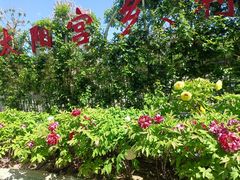 -太阳宫公园
