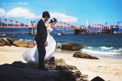 点击看大图 -苹果摄影(顺德华侨城店)