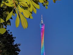 -珠江夜游广州塔·中大码头