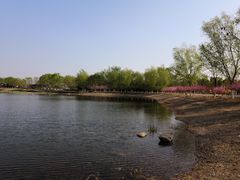 -永定河休闲森林公园