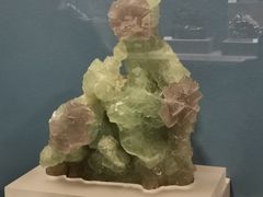 -贵州省地质博物馆