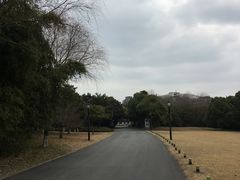 -春兰国宾馆(凤城河风景区老街店)