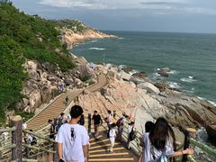 -广东惠东海龟国家级自然保护区