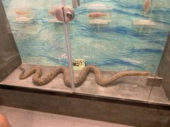 -下渚湖国家湿地公园科普馆