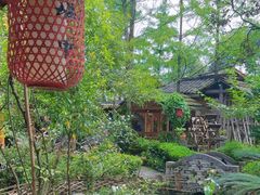 -青城甲(青城山店)