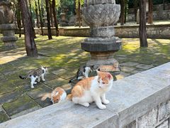 -四门塔风景区