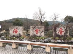 -香雪海
