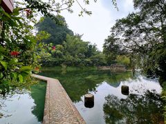 -靖西鹅泉风景区