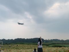 -空港花田景区