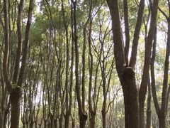 -嘉北郊野公园