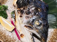 烤三文鱼头（盐烤、香辣）-三月居酒屋(青年大街店)