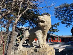 -妙峰山风景名胜区
