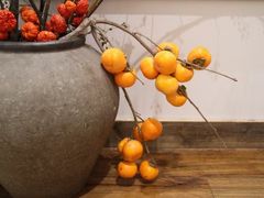 -金地格林小镇6号院