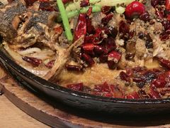 -老板恋上鱼(恒隆广场店)