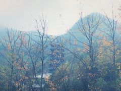 -塔川景区