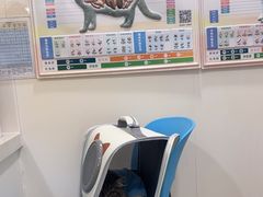 -佳雯宠物医院·皮肤科·内外科(春晓路分院)