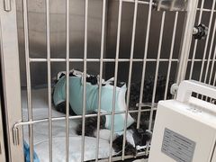 -美联众合动物医院·24h京西诊疗中心