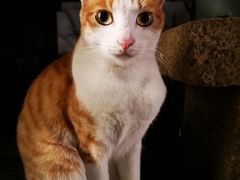 -厦门良筑精品酒店(厦门中山路店)