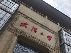 -武汉大学-樱园