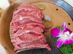 -菌子鲜汤野生菌锅