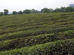 敬亭山-敬亭山风景名胜区