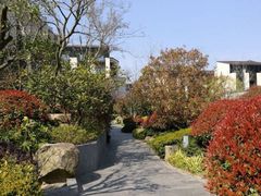 -上海崇明金茂凯悦酒店