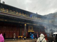-普陀山风景名胜区-法雨禅寺