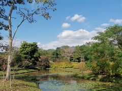 -中国科学院西双版纳热带植物园