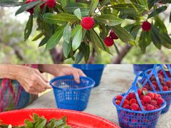 -宝岩生态观光园