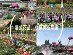 -荷兰花海