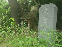 -活死人墓