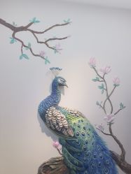 -德绣·机器野生眉发际线·美瞳线半永久