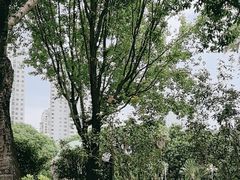 -荔香公园