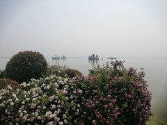 -贡湖湾湿地公园