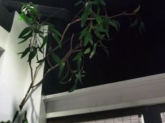 -春天来了(印象新天地店)