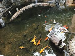 -顺风山庄(水濂山店)