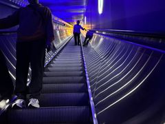 -白鹤梁水下博物馆