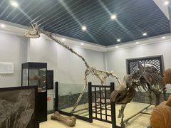 -游龙石文化科普馆