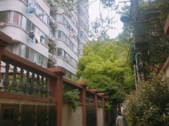 -嘉善老市