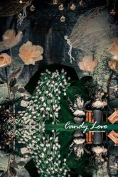 -上海外高桥喜来登酒店·宴会厅