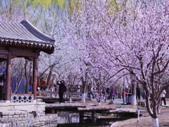 -三里河公园