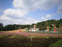 -松山湖梦幻百花洲