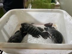 -烧哥美蛙肥肠鱼火锅·十五年社区店