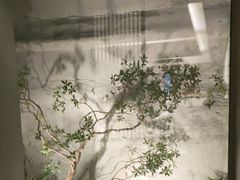 -花锦堂·隐庐