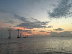 -宝安西湾红树林湿地公园