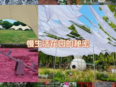 -上海鲜花港