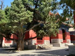 -北京国子监胡同