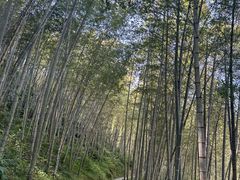 -千泷沟大瀑布旅游区
