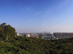 -仙岳公园